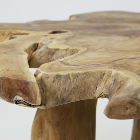 Table basse tronc d'arbre en teck