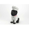 Chien chef cuisinier