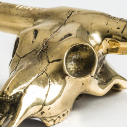 Trophée crâne animal en bronze doré antique