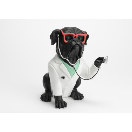 Chien Docteur