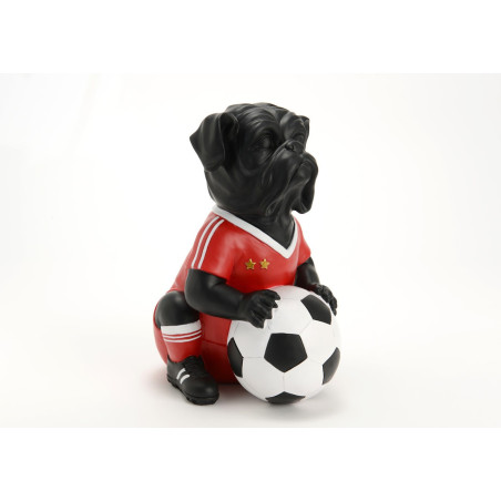 Chien Footballeur