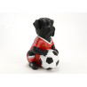 Chien Footballeur