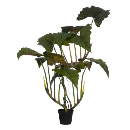 Fausse plante colocasia vert